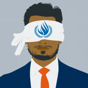 Consejo de Derechos Humanos bajo control de los abusadores